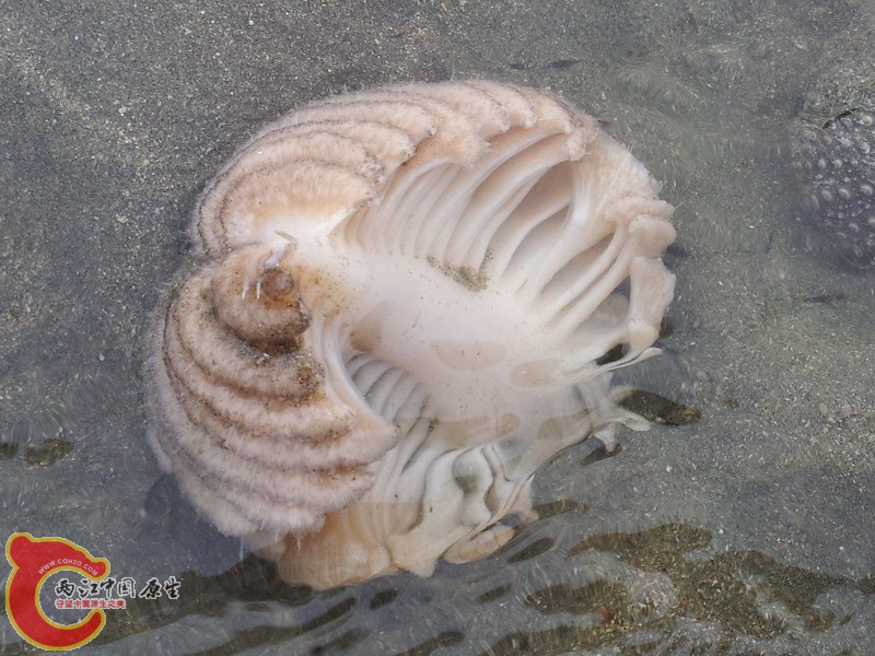 20140419_173428.jpg
