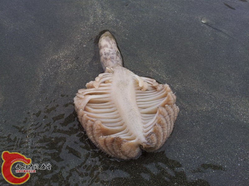 20140419_173551.jpg