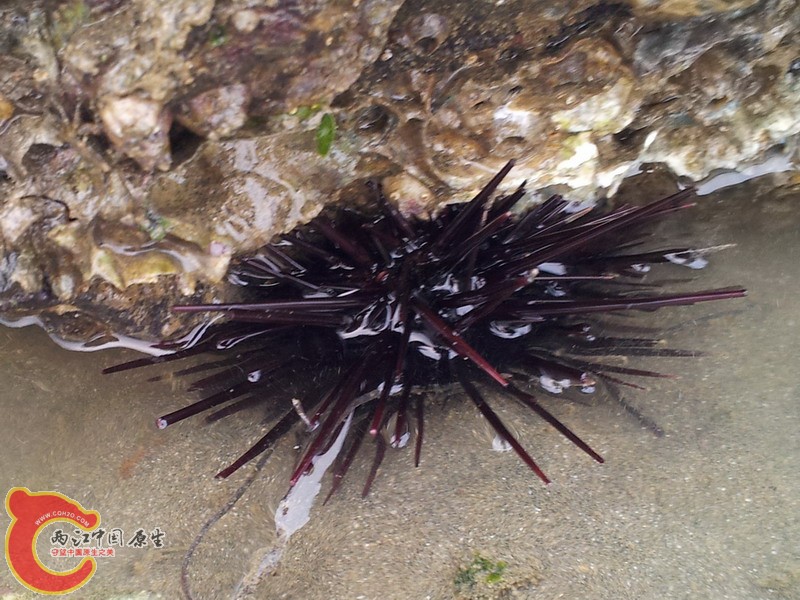 20140419_173645.jpg