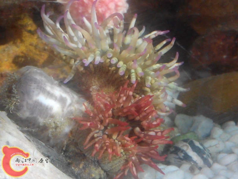 IMG_20140427_105511.jpg