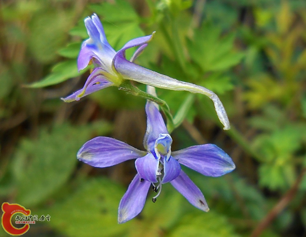 DSCN1776.JPG