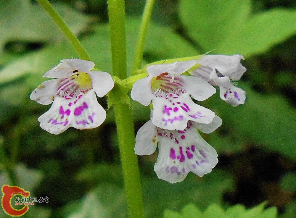 DSCN1781.JPG