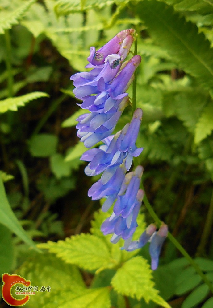 DSCN1765.JPG