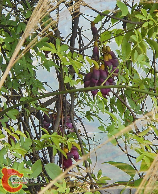 DSCN1793.JPG