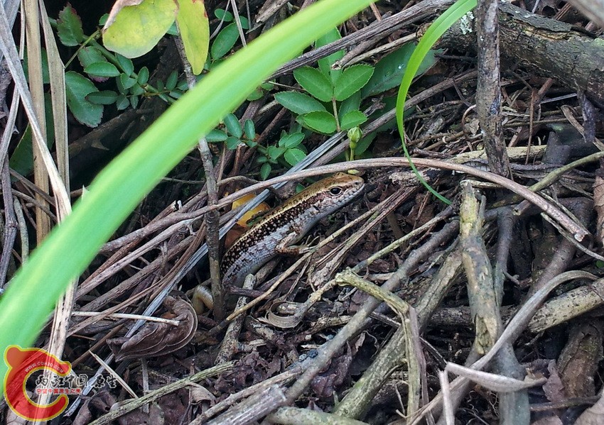 20140427_170902.jpg