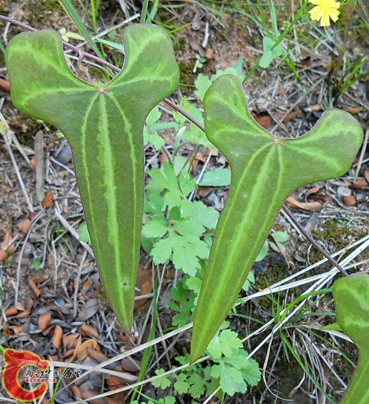 DSCN1744.JPG