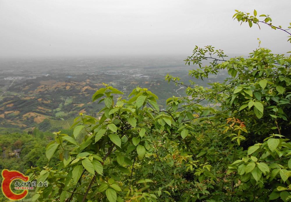 DSCN1786.JPG
