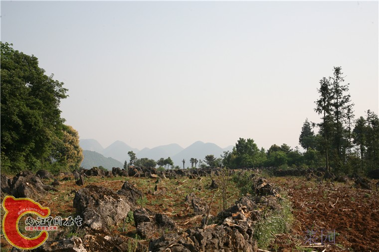 148.jpg