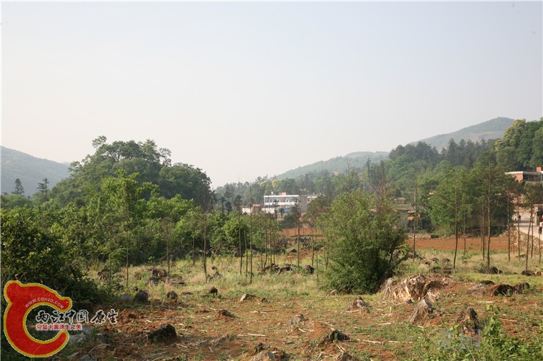 150.jpg