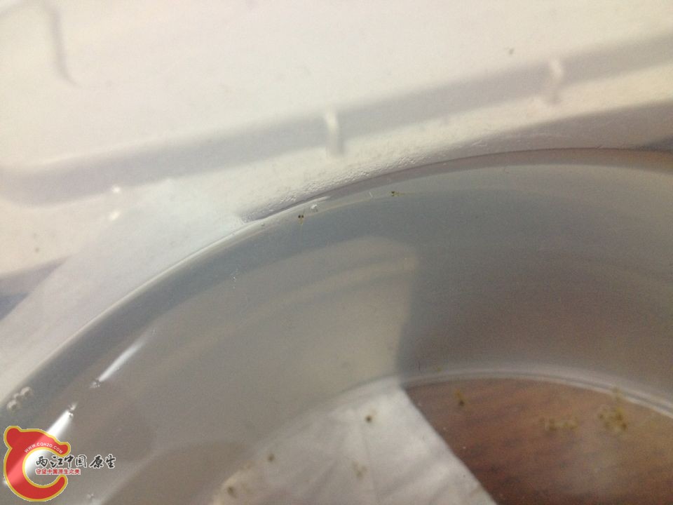 QQ图片20140428183728.jpg