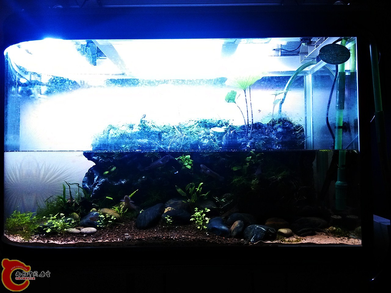 IMG_20140427_222829.jpg IMG_20140427_222829.jpg