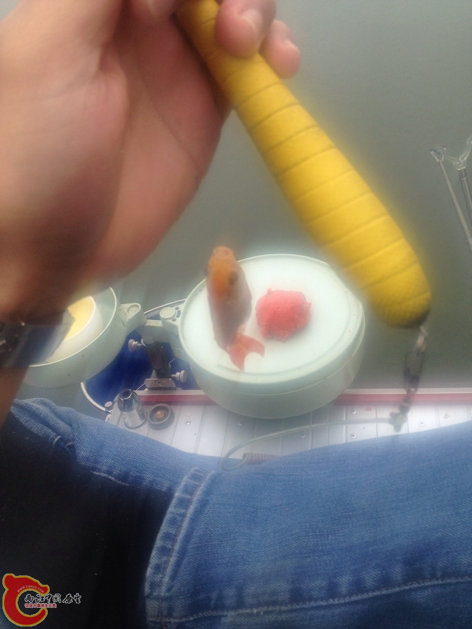 QQ图片20140429140124.jpg