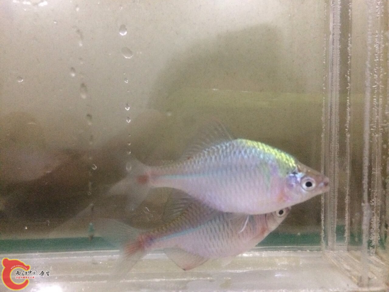 QQ图片20140429140138.jpg