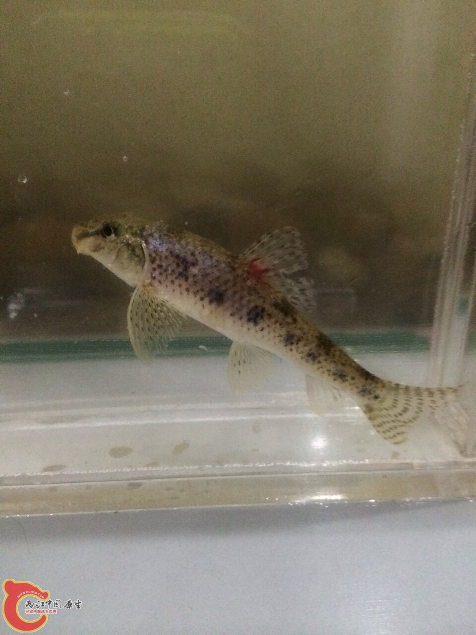 QQ图片20140429140143.jpg