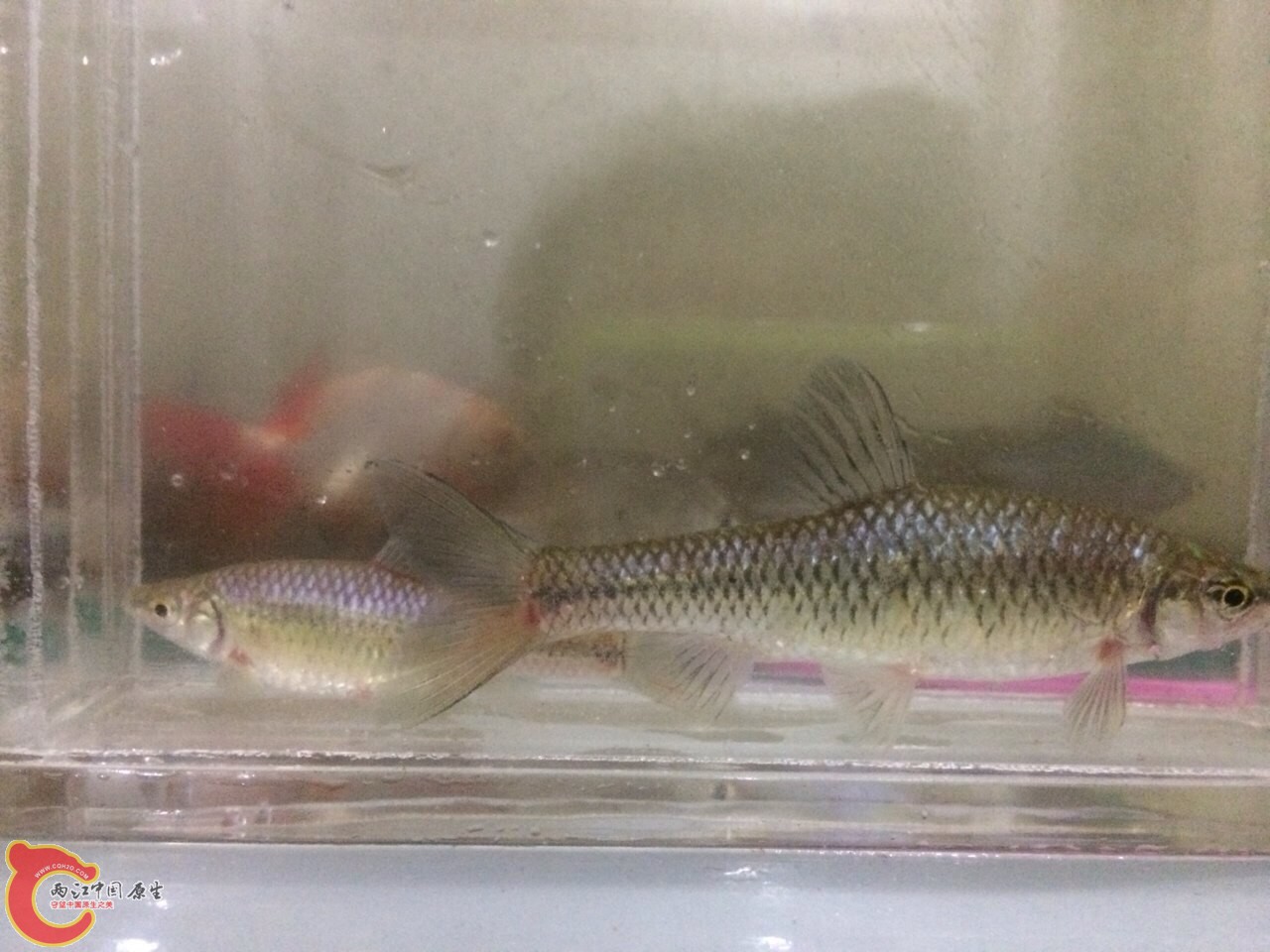 QQ图片20140429140159.jpg