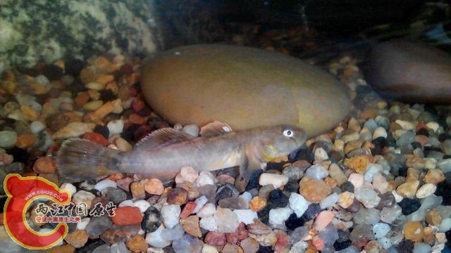 调整大小 调整大小 IMG_20140430_105611(1).jpg