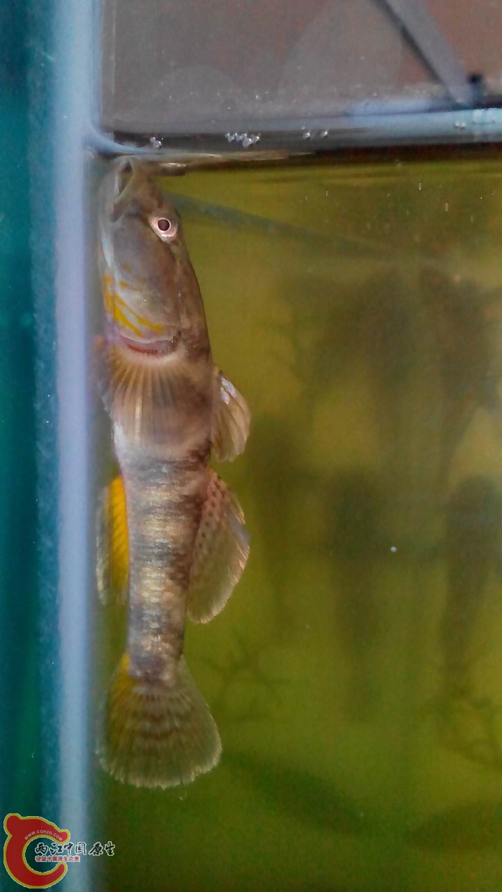 调整大小 IMG_20140430_105538(1).jpg