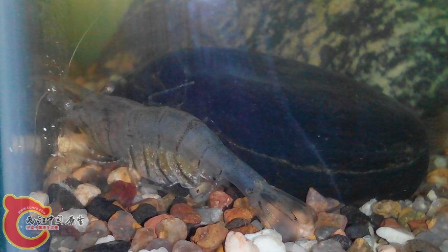 调整大小 IMG_20140430_110951.JPG