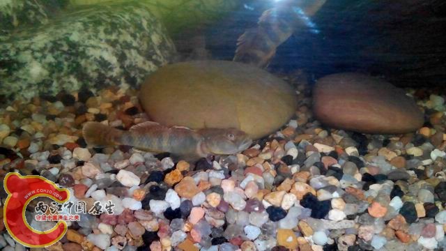 调整大小 调整大小 IMG_20140430_103222(1).jpg