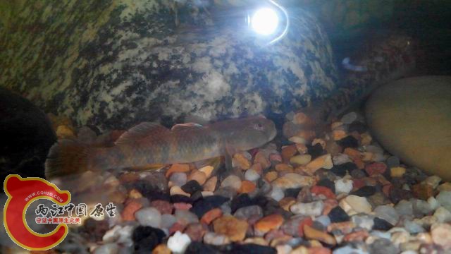 调整大小 调整大小 IMG_20140430_103757(1).jpg