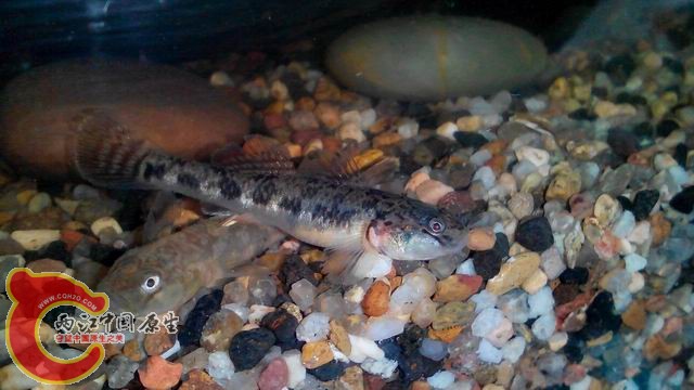 调整大小 调整大小 IMG_20140430_104743(1).jpg