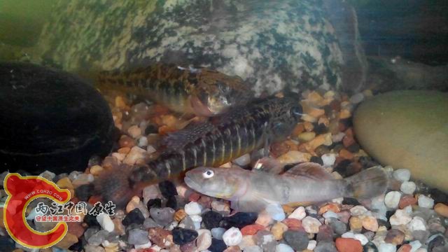 调整大小 调整大小 IMG_20140430_105140(1).jpg