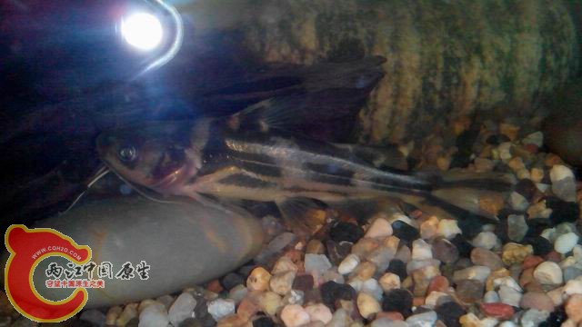 调整大小 调整大小 IMG_20140430_104932(1).jpg