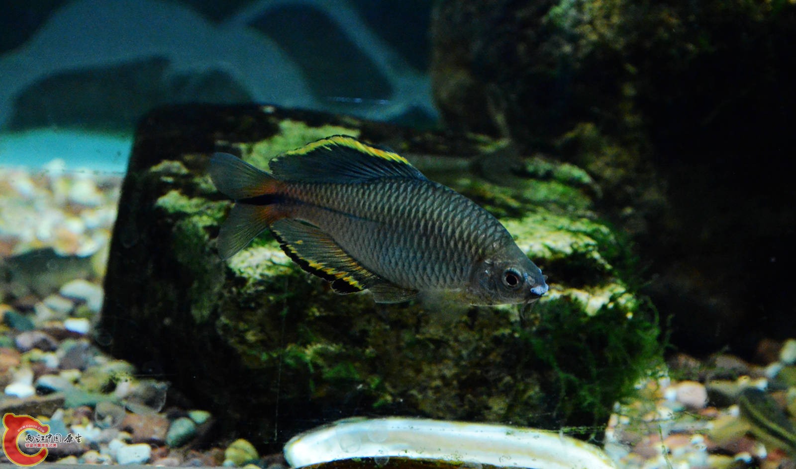 DSC_0696.JPG