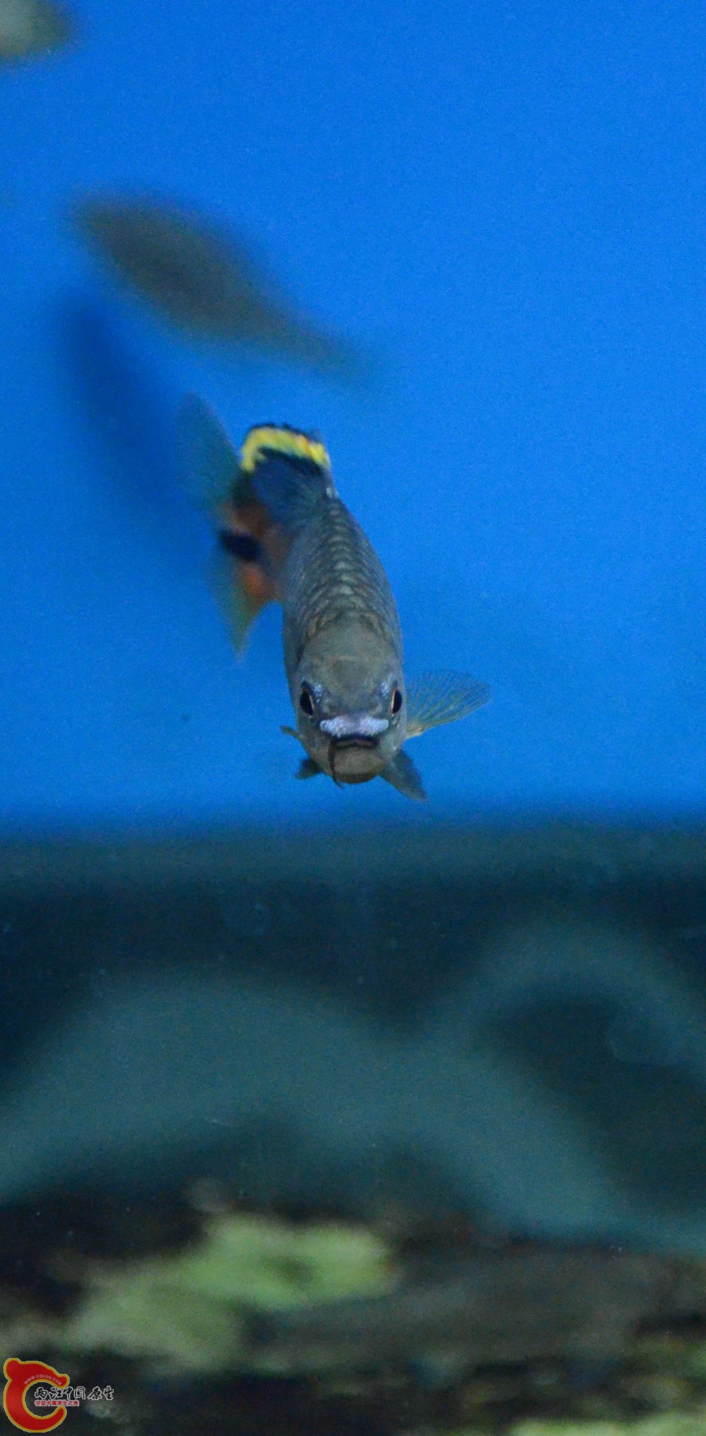 DSC_0718.JPG