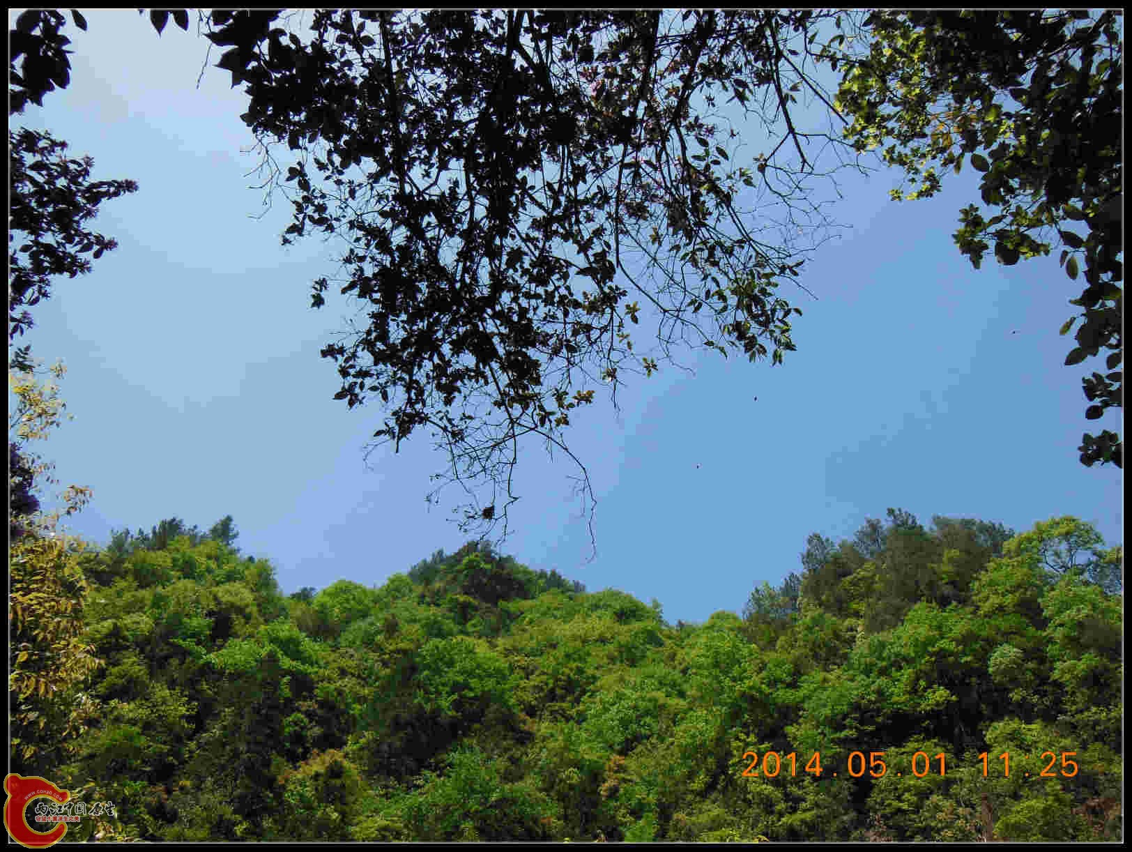 抬头看天只有蓝色一个洞