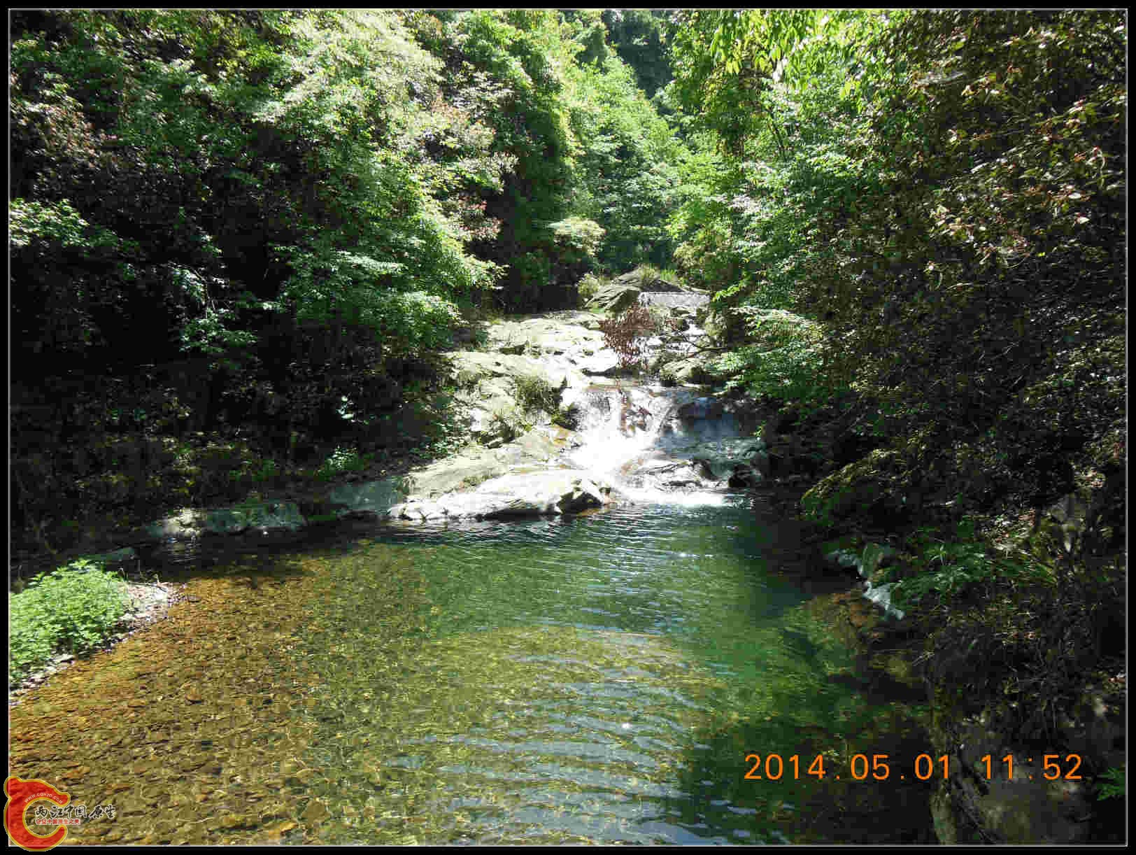 由于水太深、冰冷四周悬崖根本没法下去捞鱼