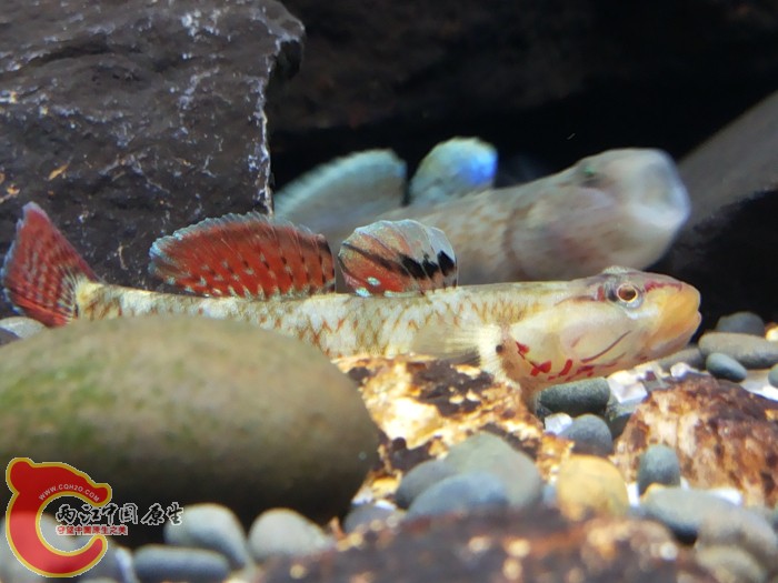 20140502_202530_编辑_编辑.jpg