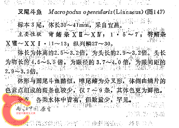QQ截图20140502223140.png