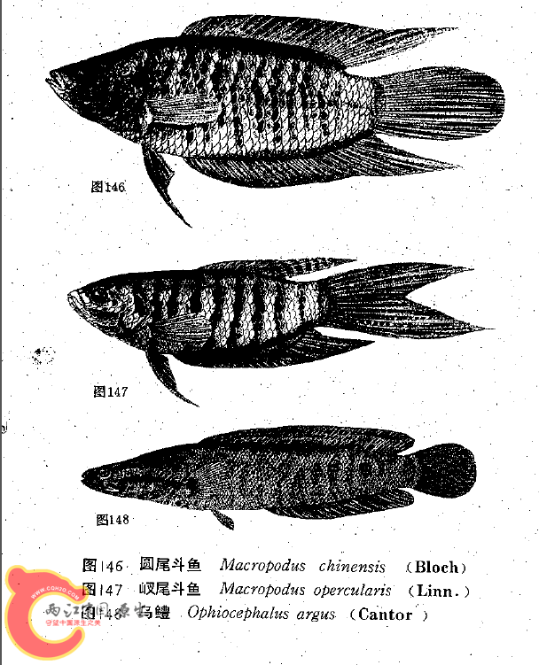 QQ截图20140502223246.png