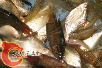 QQ图片20140502222716_副本.jpg