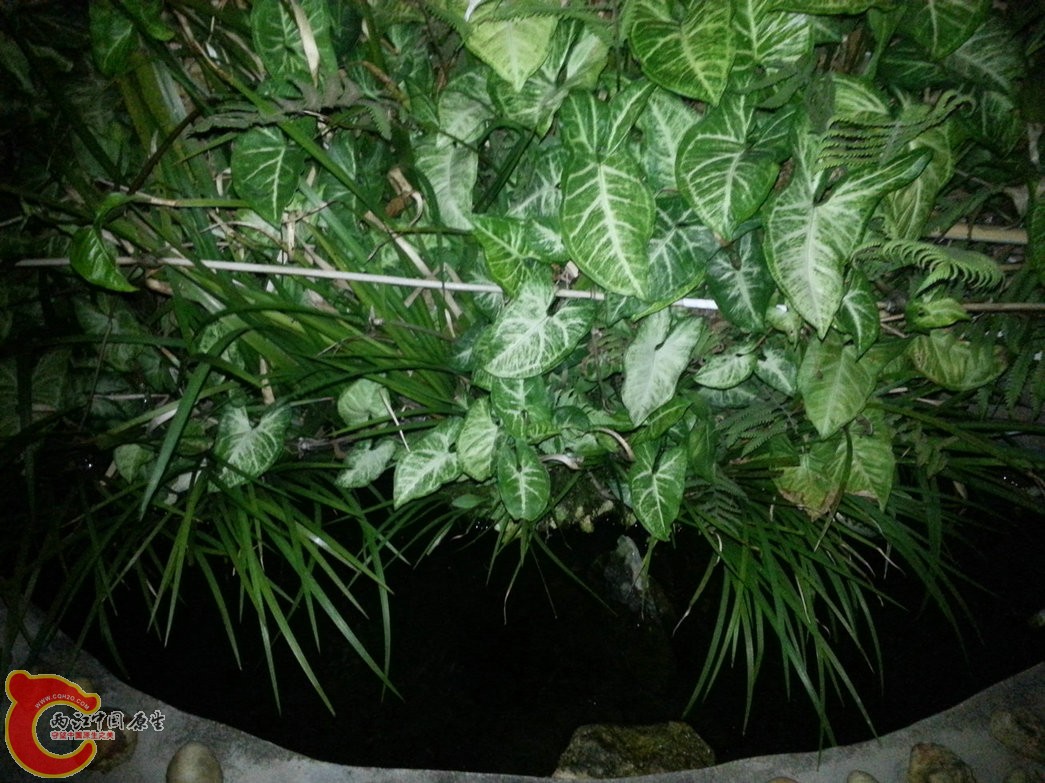 1.20140502.jpg