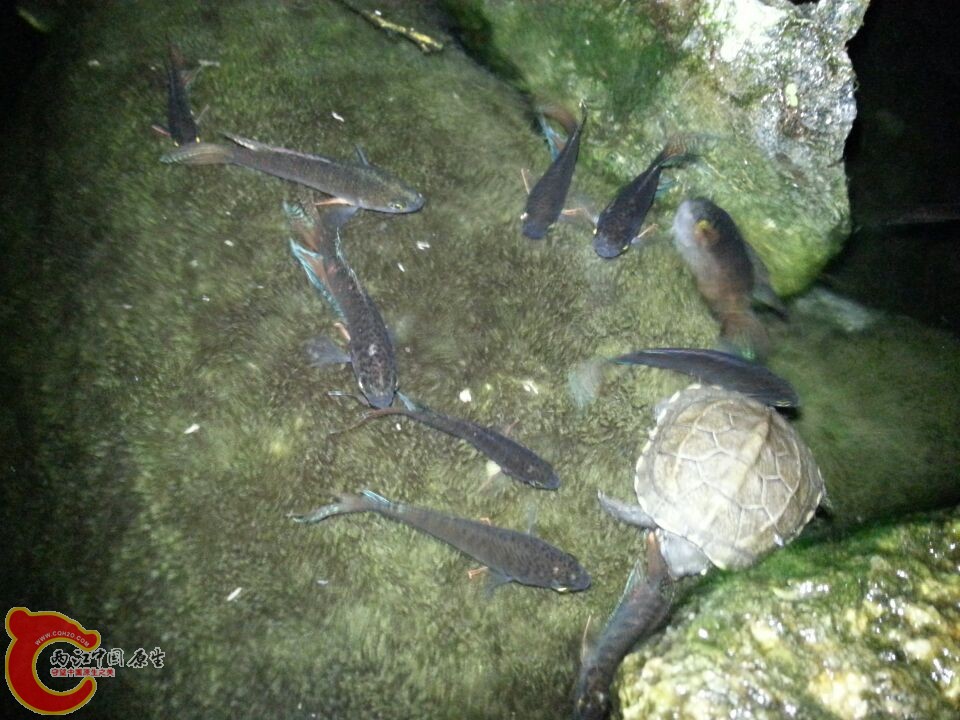 2.20140427.jpg