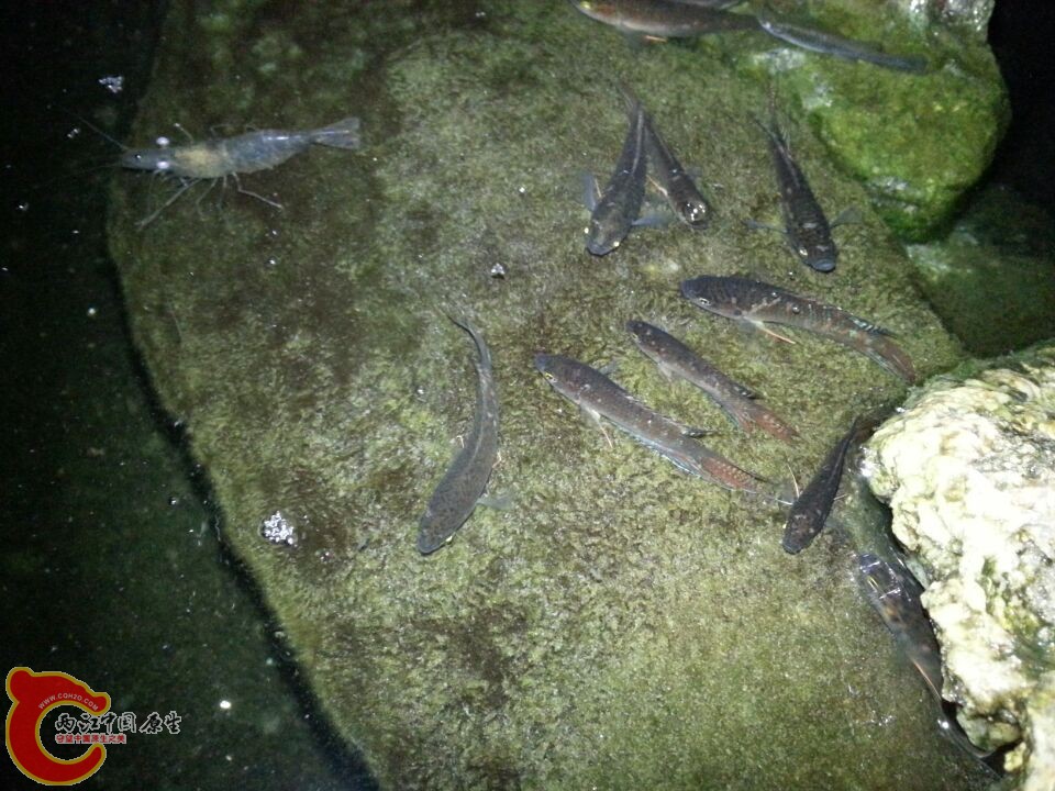 6.20140430.jpg