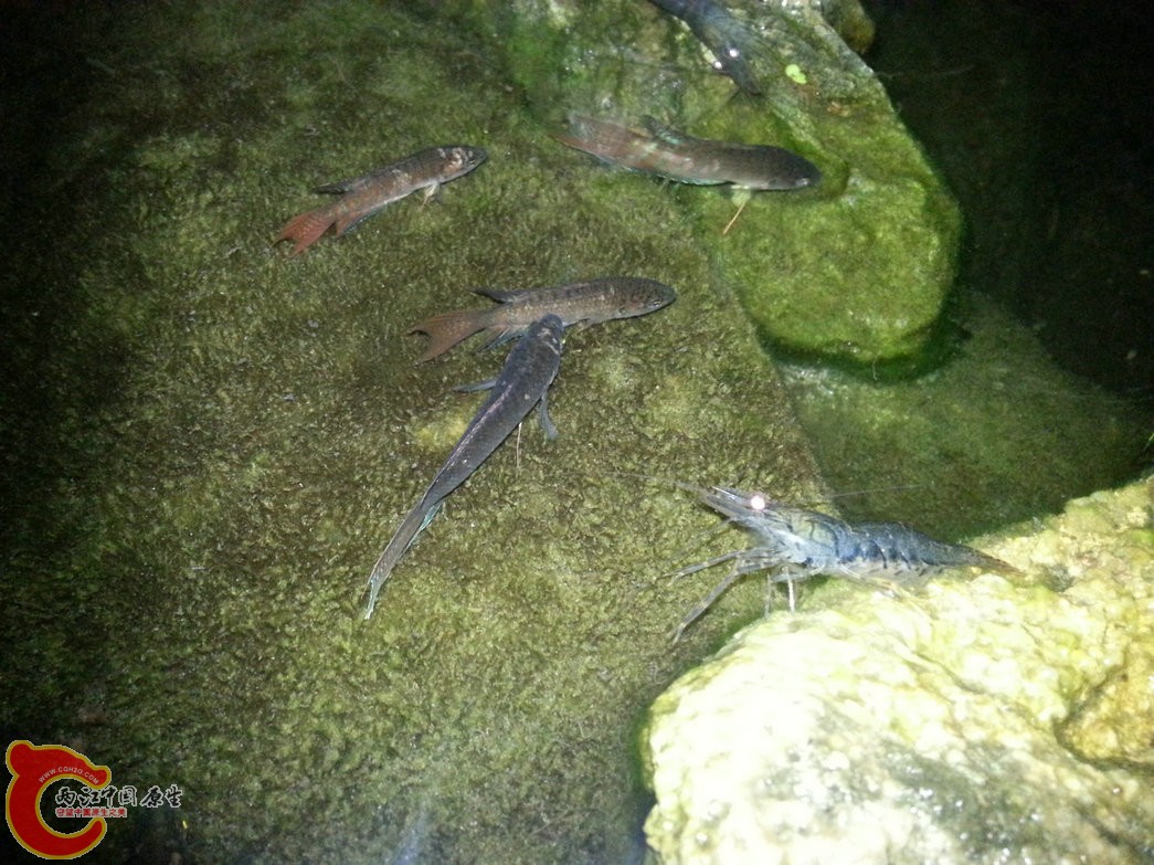 14.20140502.jpg