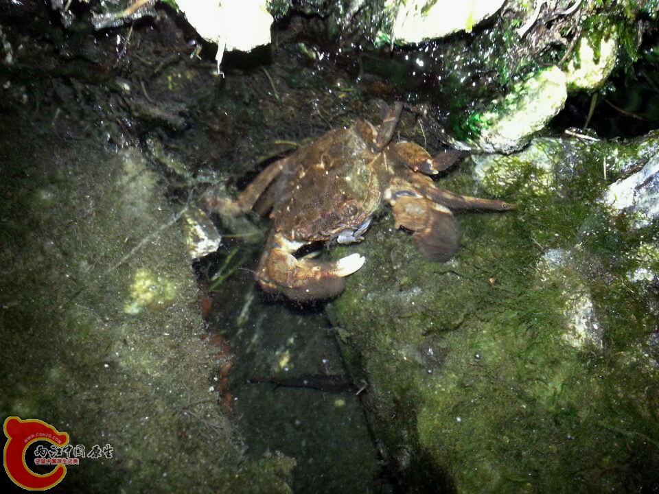 26.20140430.jpg