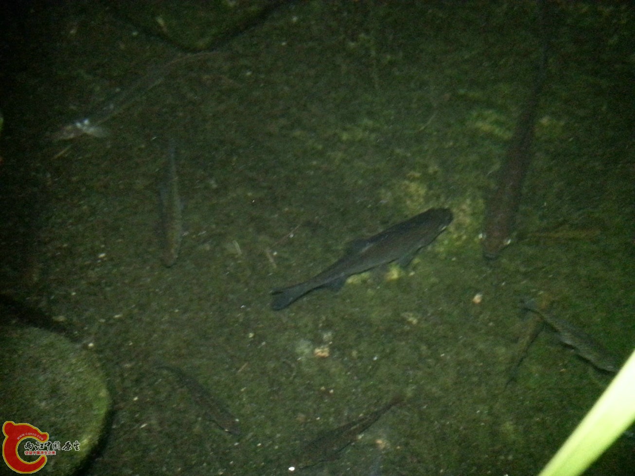 29.20140502.jpg