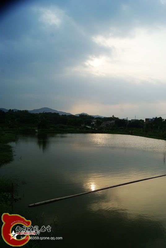 09.jpg