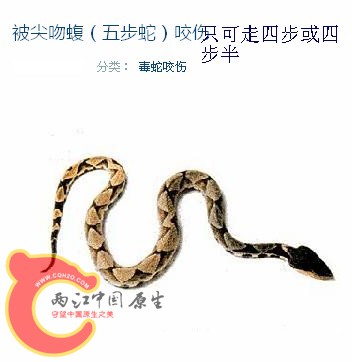 大.jpg