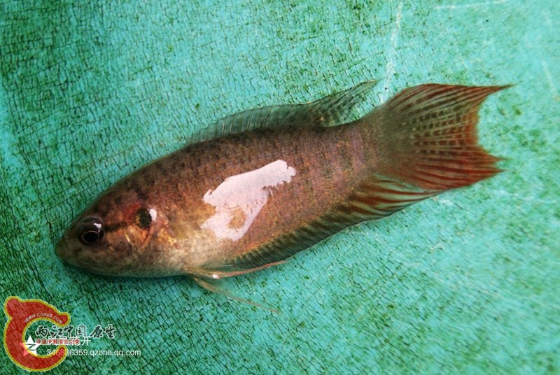 04.jpg