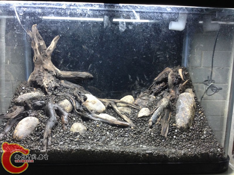 131653olvvqvsyvcljvyh6.jpg 131653olvvqvsyvcljvyh6.jpg