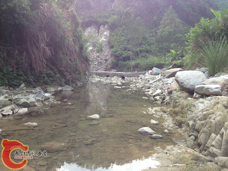 1330187u7wikx7ii3t5i08.jpg 1330187u7wikx7ii3t5i08.jpg