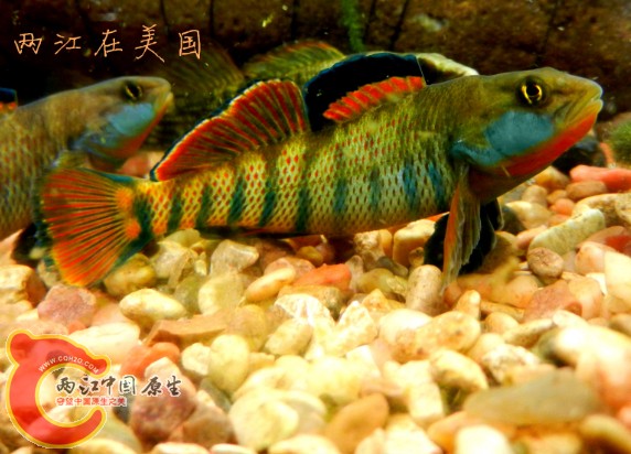 QQ截图20140507114237.jpg
