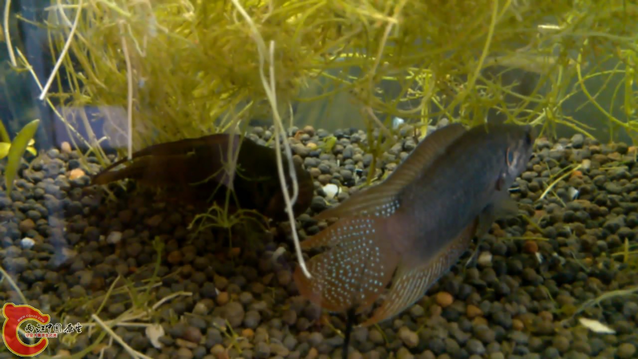 VID_20140507_10[00_03_42][20140507-212111-1].JPG