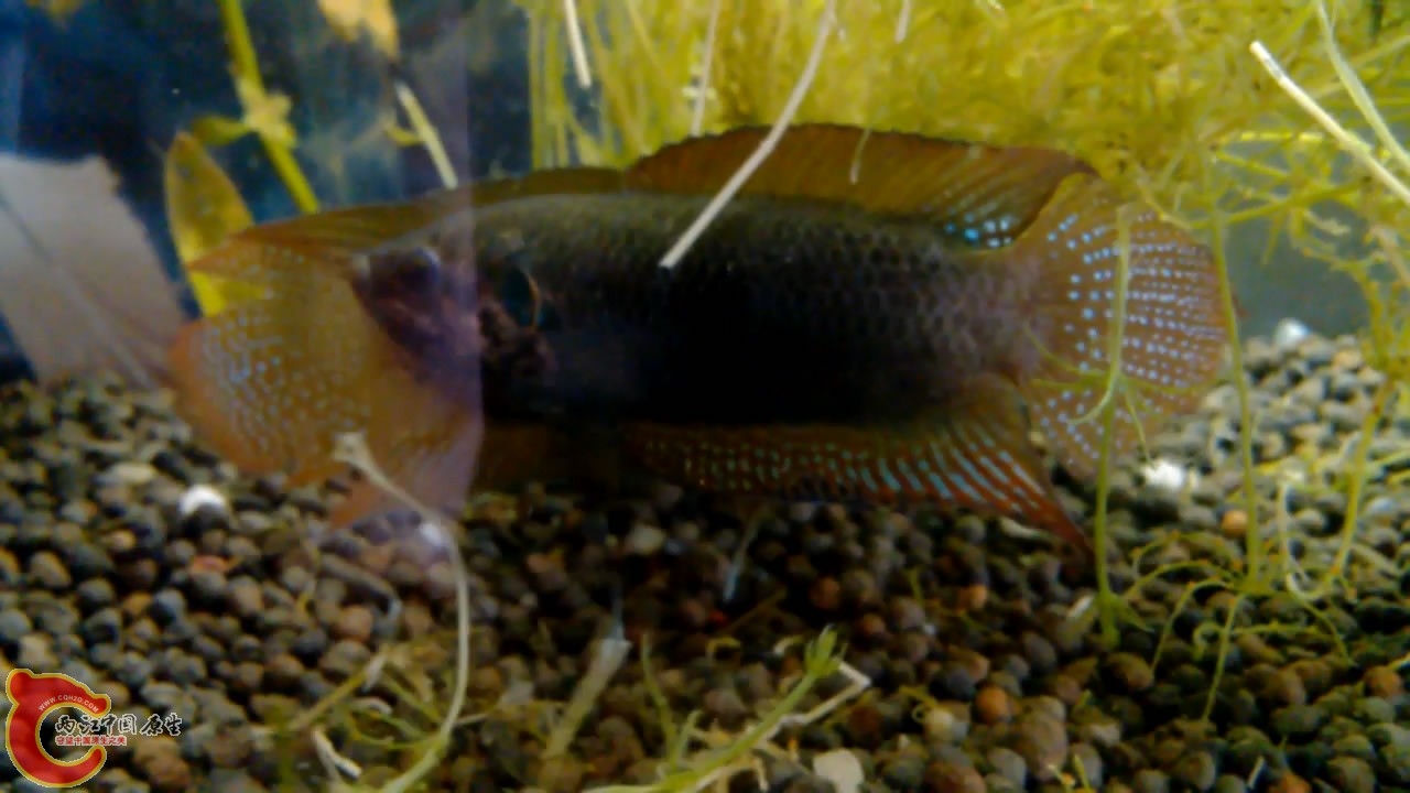 VID_20140507_10[00_04_55][20140507-212247-3].JPG
