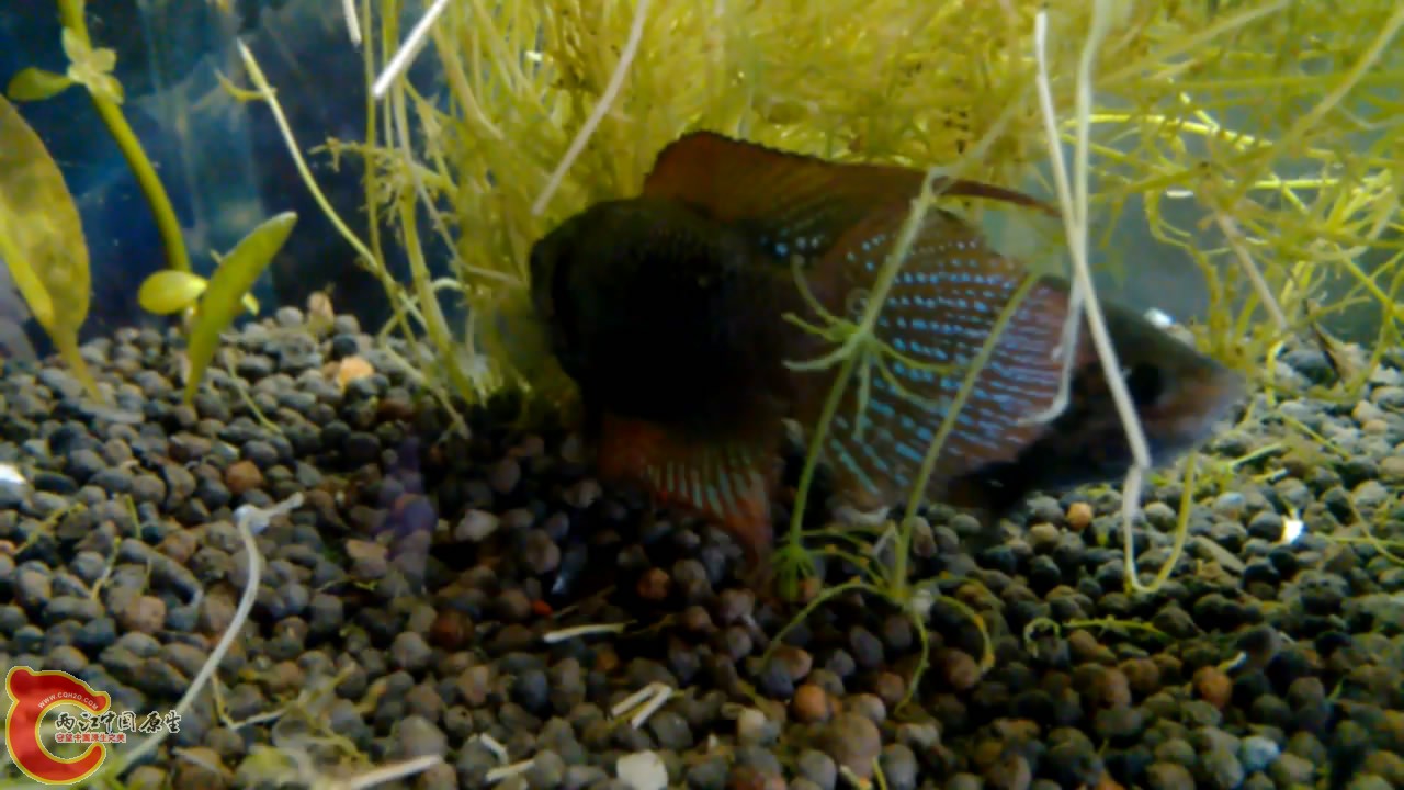 VID_20140507_10[00_05_13][20140507-212314-4].JPG